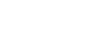 speedfiber